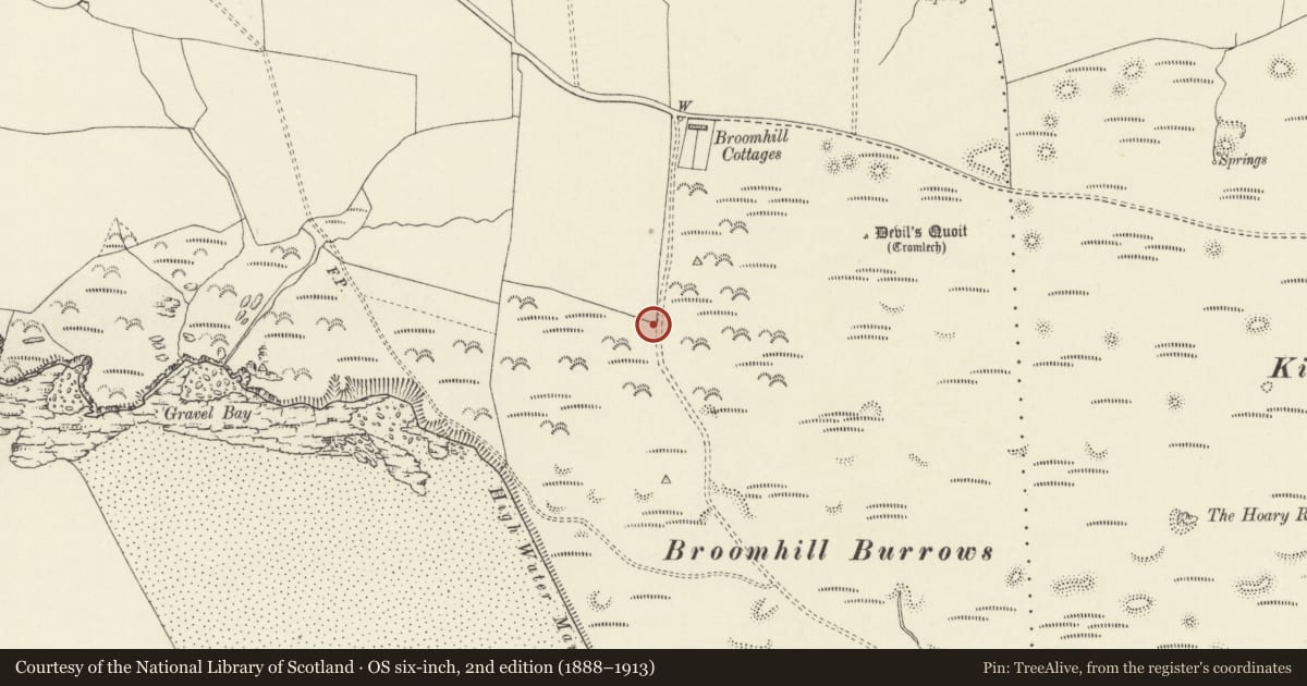 Ordnance Survey six-inch map, 2nd edition (1888–1913) covering the location of War Memorial, Angle, Pembrokeshire, with a pin at the register's coordinates