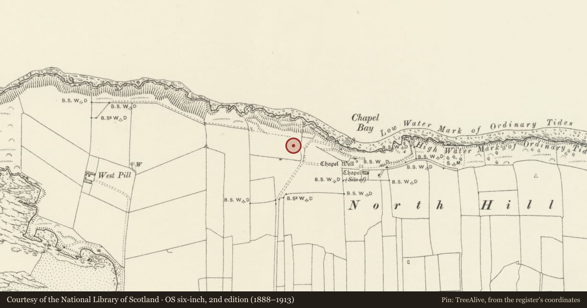 Ordnance Survey six-inch map, 2nd edition (1888–1913) covering the location of Chapel Bay Fort, Angle, Pembrokeshire, with a pin at the register's coordinates