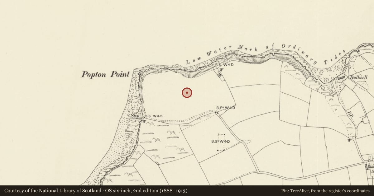 Ordnance Survey six-inch map, 2nd edition (1888–1913) covering the location of Fort Popton, Angle, Pembrokeshire, with a pin at the register's coordinates