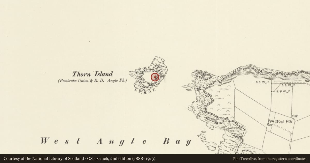 Ordnance Survey six-inch map, 2nd edition (1888–1913) covering the location of Thorne Island Fort, Angle, Pembrokeshire, with a pin at the register's coordinates