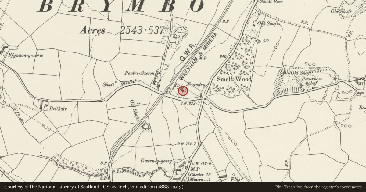 Ordnance Survey six-inch map, 2nd edition (1888–1913) covering the location of Stone Chimney at Pentre Saeson Foundry, Brymbo, Wrexham, with a pin at the register's coordinates