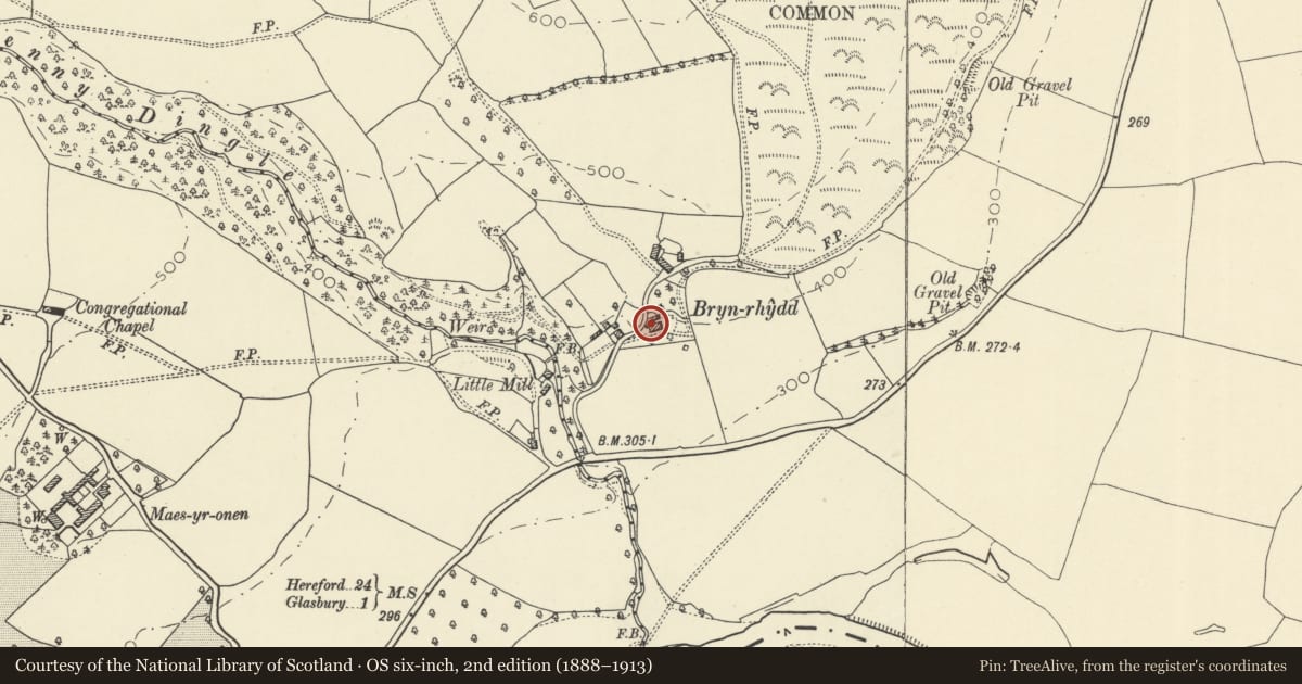 Ordnance Survey six-inch map, 2nd edition (1888–1913) covering the location of Bryn-yr-hydd, Glasbury, Powys, with a pin at the register's coordinates