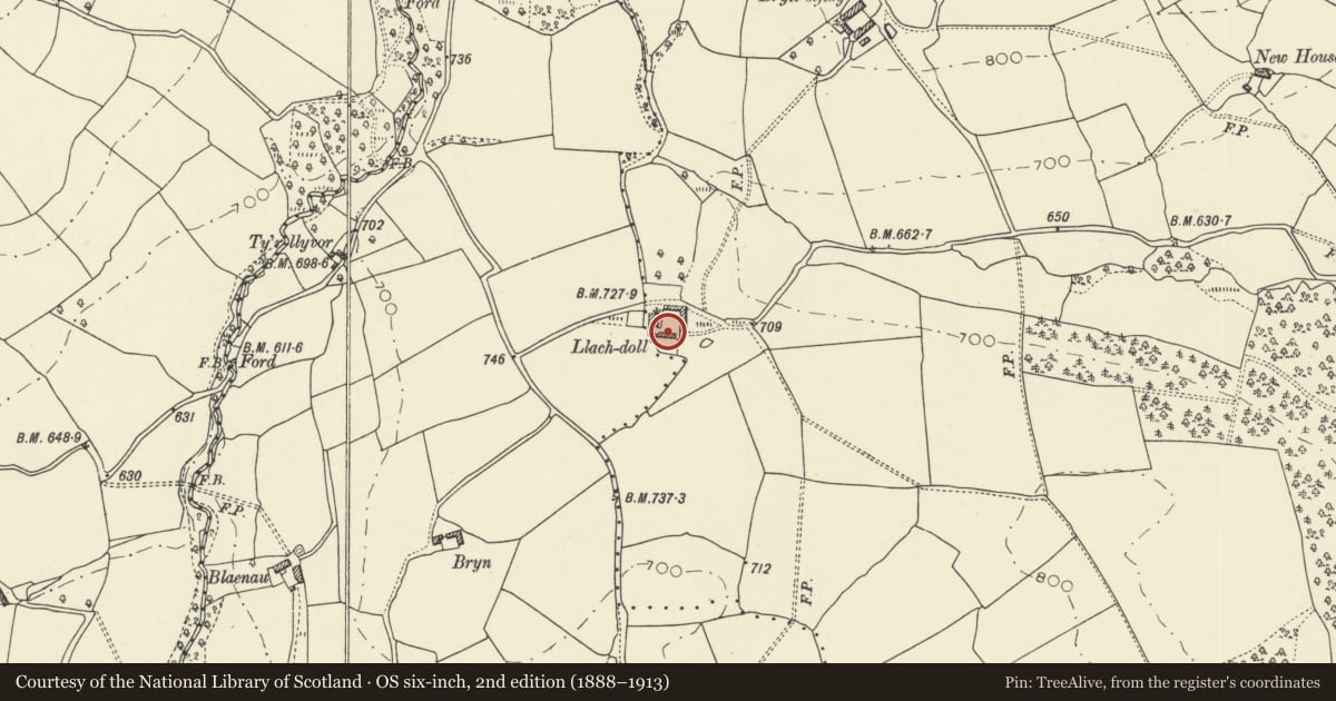 Ordnance Survey six-inch map, 2nd edition (1888–1913) covering the location of Carthouse and stable at Llach-doll farm, Glasbury, Powys, with a pin at the register's coordinates