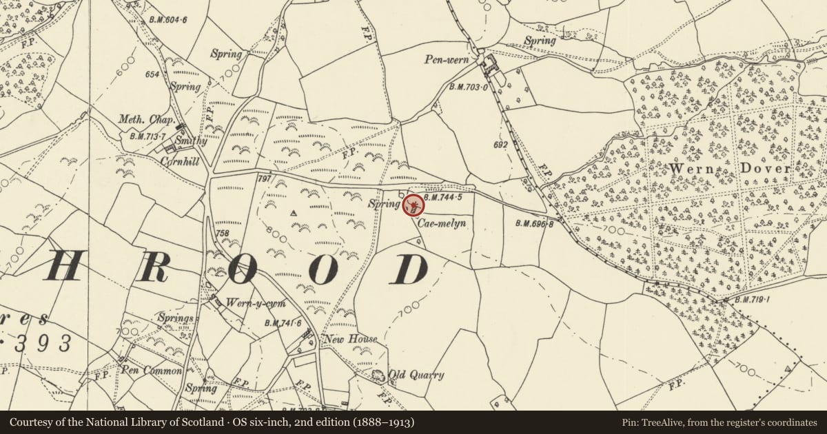 Ordnance Survey six-inch map, 2nd edition (1888–1913) covering the location of Cae-melyn, Glasbury, Powys, with a pin at the register's coordinates