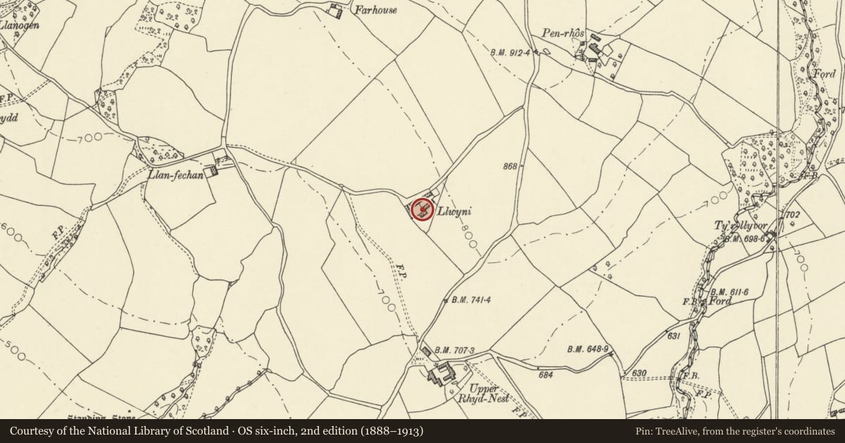 Ordnance Survey six-inch map, 2nd edition (1888–1913) covering the location of Lloyney, Glasbury, Powys, with a pin at the register's coordinates