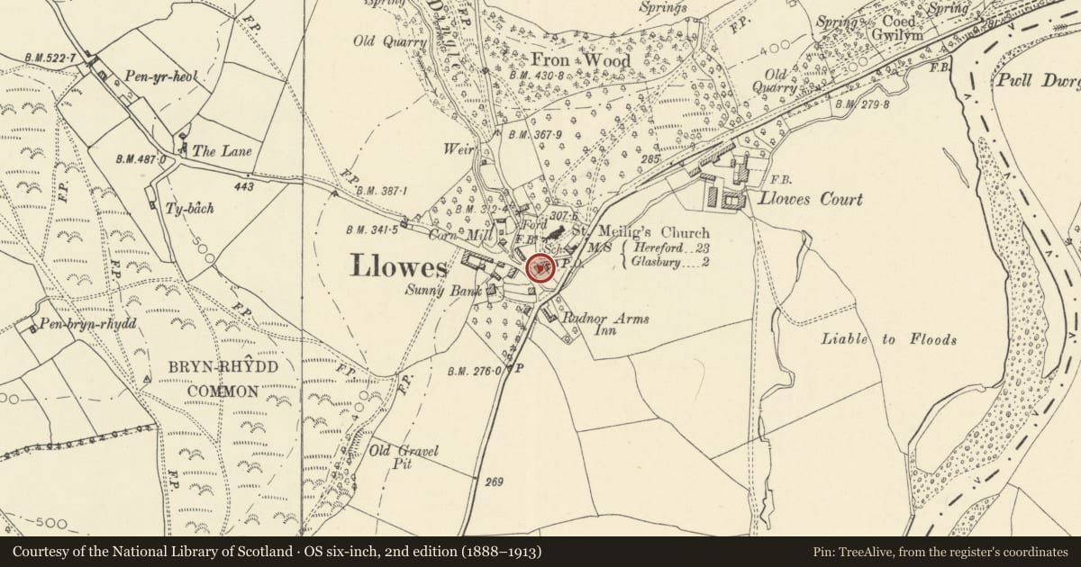 Ordnance Survey six-inch map, 2nd edition (1888–1913) covering the location of Old Vicarage, Glasbury, Powys, with a pin at the register's coordinates