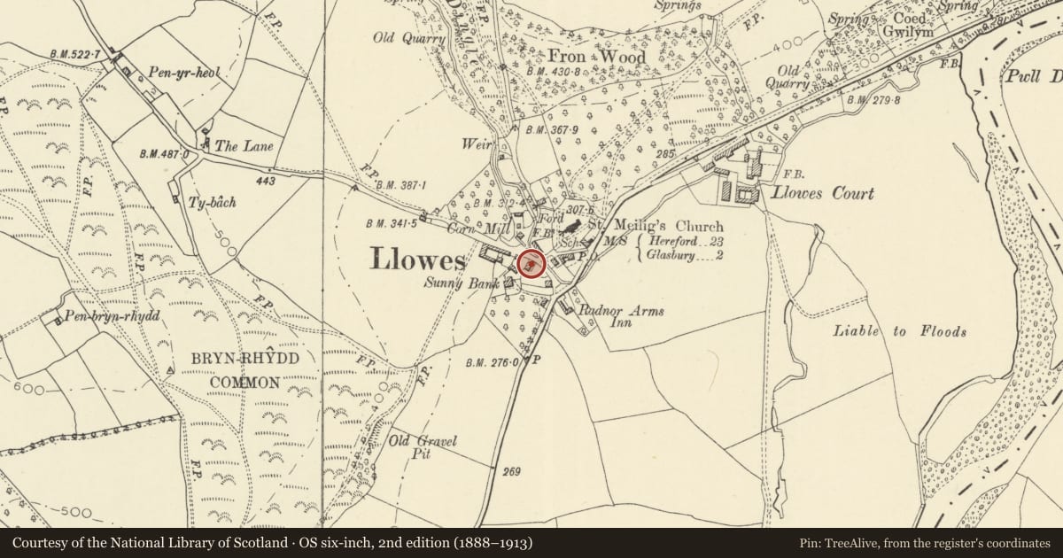 Ordnance Survey six-inch map, 2nd edition (1888–1913) covering the location of 2 Albert Terrace, Glasbury, Powys, with a pin at the register's coordinates
