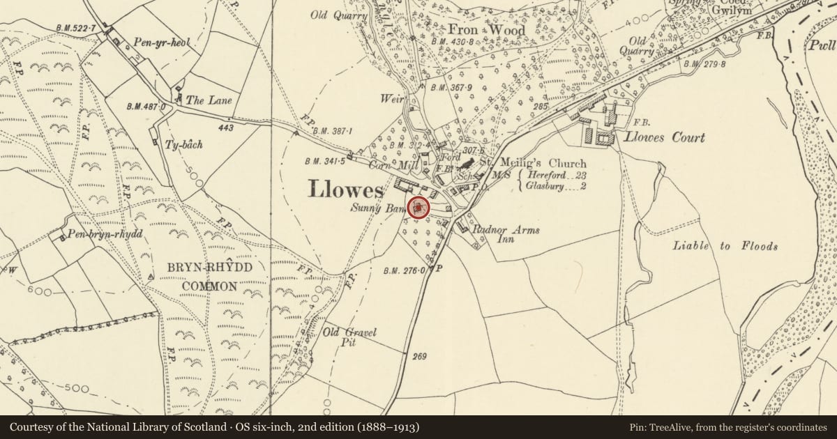 Ordnance Survey six-inch map, 2nd edition (1888–1913) covering the location of Vicarage House, Glasbury, Powys, with a pin at the register's coordinates