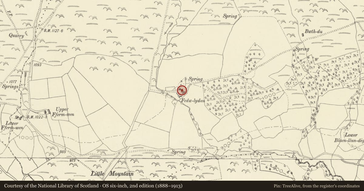 Ordnance Survey six-inch map, 2nd edition (1888–1913) covering the location of Fedw-lydan farmhouse, Glasbury, Powys, with a pin at the register's coordinates