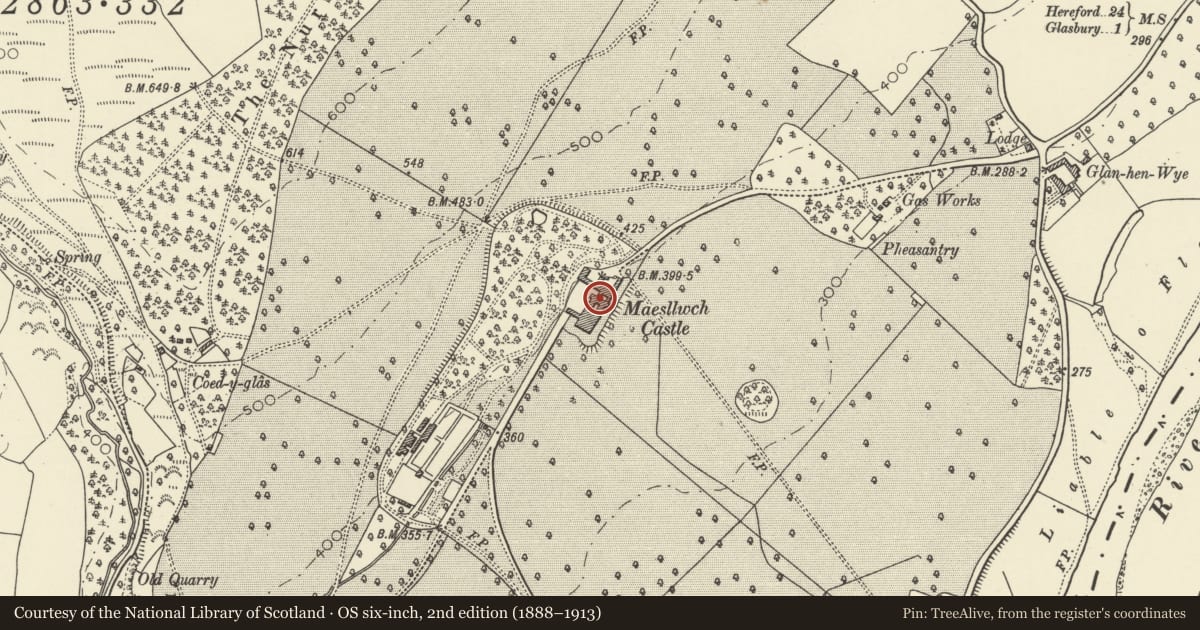 Ordnance Survey six-inch map, 2nd edition (1888–1913) covering the location of Maesllwch Castle, Glasbury, Powys, with a pin at the register's coordinates