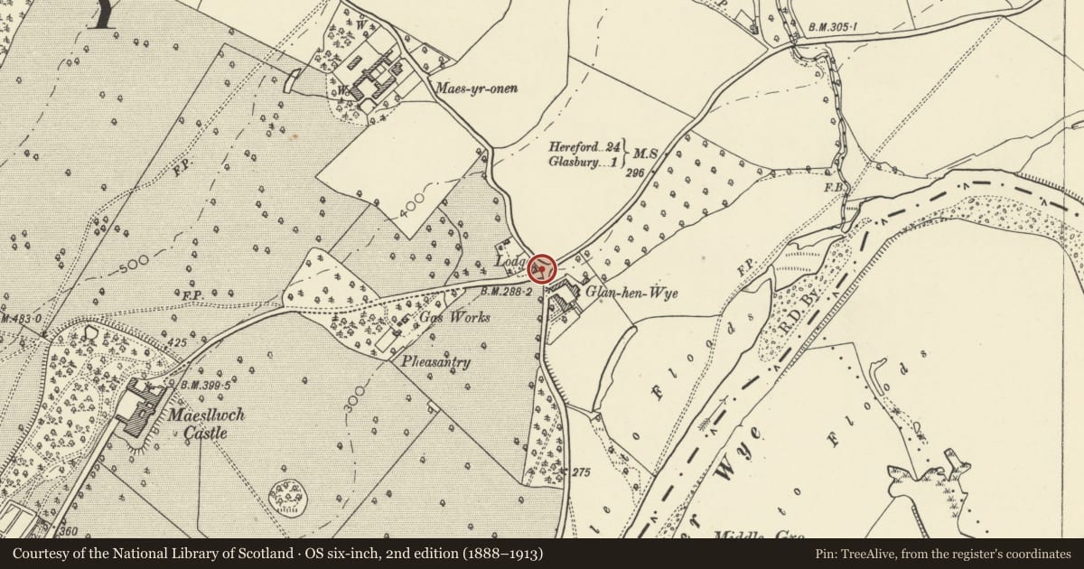 Ordnance Survey six-inch map, 2nd edition (1888–1913) covering the location of Gate piers, gates and screen to the E drive of Maesllwch Castle, Glasbury, Powys, with a pin at the register's coordinates