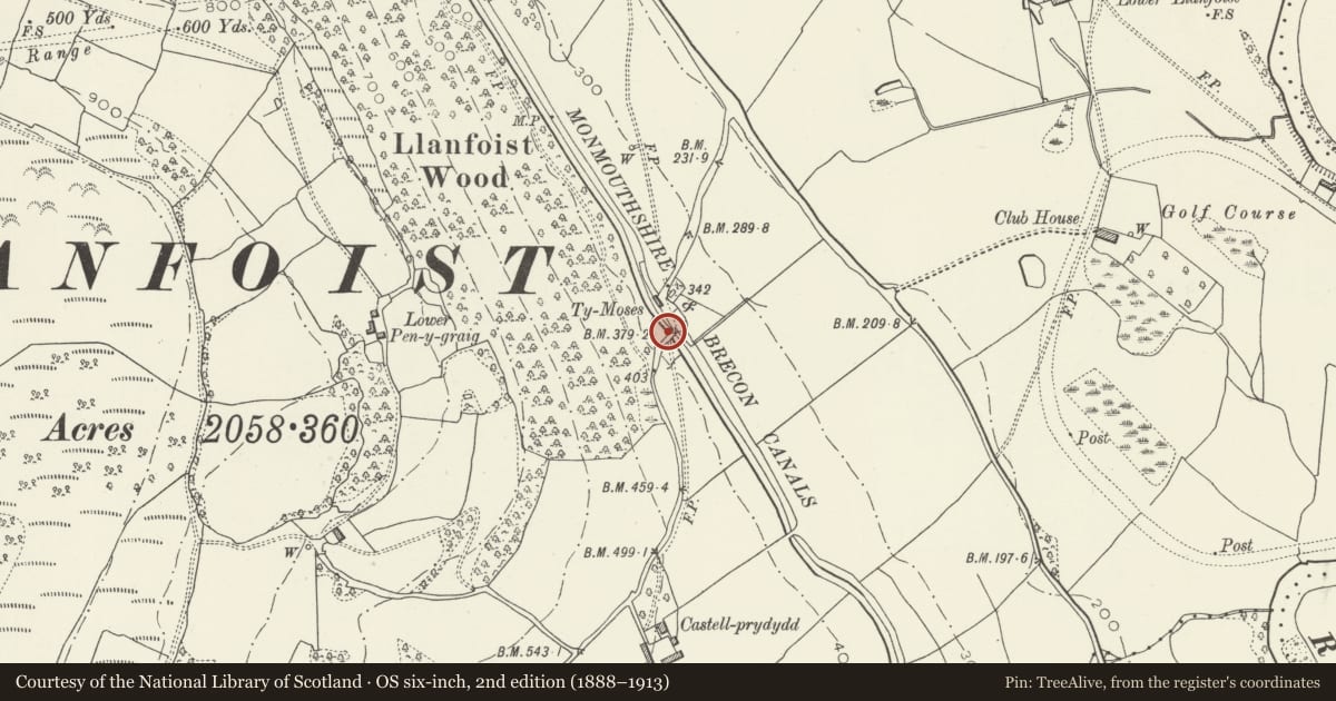 Ordnance Survey six-inch map, 2nd edition (1888–1913) covering the location of Castle Upper Bridge (Canal Bridge No 95), Llanfoist Fawr, Monmouthshire, with a pin at the register's coordinates