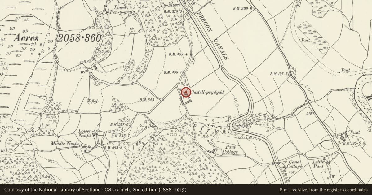 Ordnance Survey six-inch map, 2nd edition (1888–1913) covering the location of Castell Prydydd, Llanfoist Fawr, Monmouthshire, with a pin at the register's coordinates