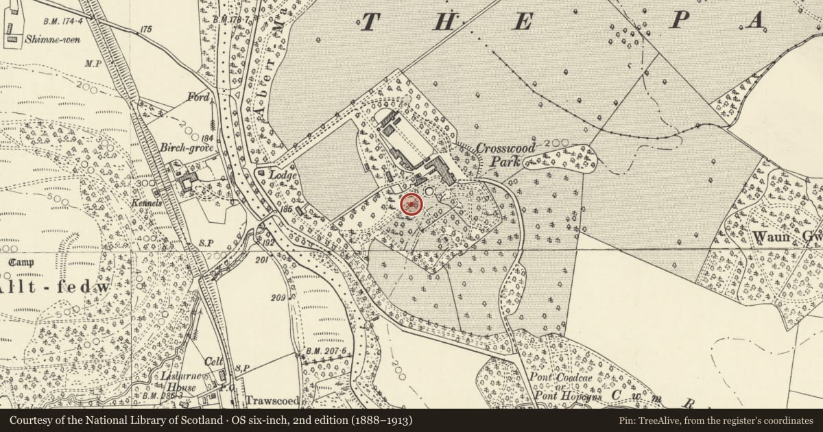 Ordnance Survey six-inch map, 2nd edition (1888–1913) covering the location of Terrace wall and steps at foot of lawn to SW of Trawsgoed House, Ceredigion, with a pin at the register's coordinates