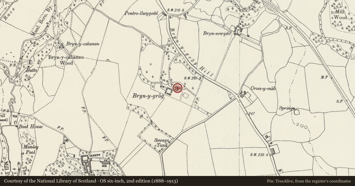 Ordnance Survey six-inch map, 2nd edition (1888–1913) covering the location of Bryn-y-Grog Hall, Marchwiel, Wrexham, with a pin at the register's coordinates