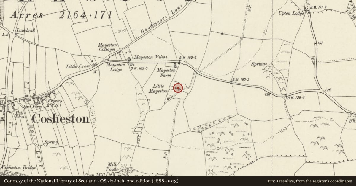 Ordnance Survey six-inch map, 2nd edition (1888–1913) covering the location of Little Mayeston, Cosheston, Pembrokeshire, with a pin at the register's coordinates
