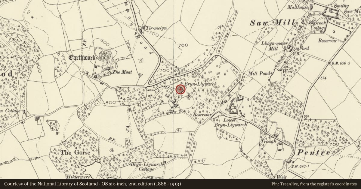 Ordnance Survey six-inch map, 2nd edition (1888–1913) covering the location of Brynllywarch Hall School, Kerry, Powys, with a pin at the register's coordinates