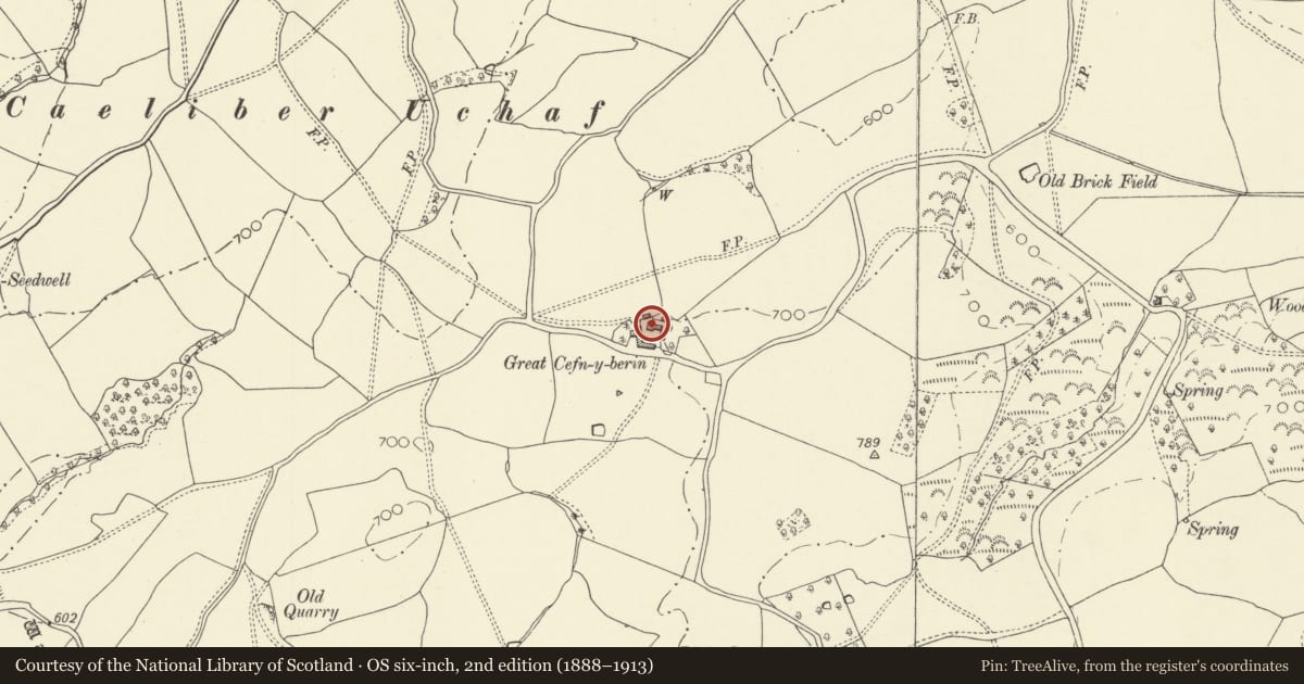Ordnance Survey six-inch map, 2nd edition (1888–1913) covering the location of Great Cefn-y-berrin, Kerry, Powys, with a pin at the register's coordinates