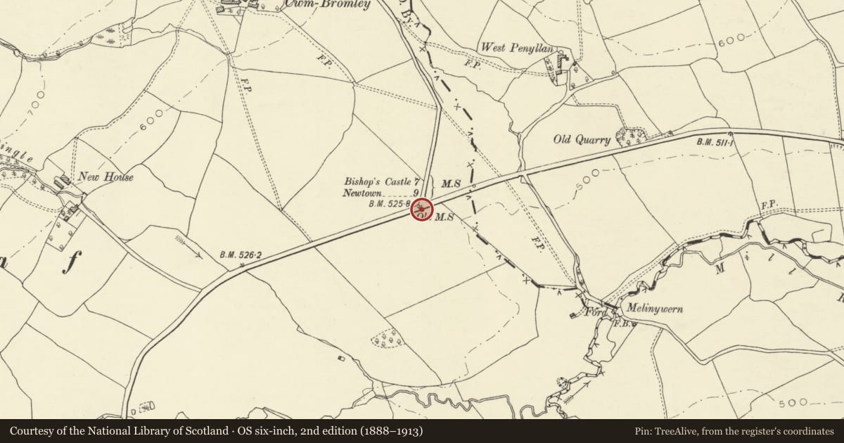 Ordnance Survey six-inch map, 2nd edition (1888–1913) covering the location of Milestone, Kerry, Powys, with a pin at the register's coordinates