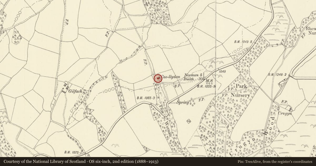 Ordnance Survey six-inch map, 2nd edition (1888–1913) covering the location of Caerlydan, Kerry, Powys, with a pin at the register's coordinates