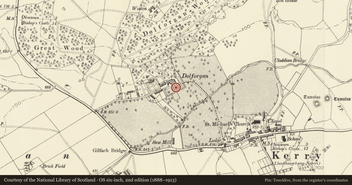Ordnance Survey six-inch map, 2nd edition (1888–1913) covering the location of Fountain in S garden at Dolforgen Hall, Kerry, Powys, with a pin at the register's coordinates