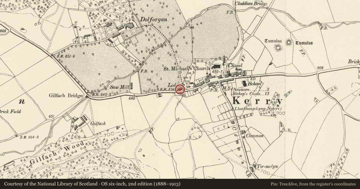 Ordnance Survey six-inch map, 2nd edition (1888–1913) covering the location of Dolforgan Lodge (West) with gate screen, piers and gate formerly to Dolforgan Hall, Kerry, Powys, with a pin at the register's coordinates