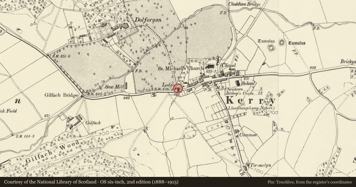 Ordnance Survey six-inch map, 2nd edition (1888–1913) covering the location of Dolforgan Lodge (East), Kerry, Powys, with a pin at the register's coordinates