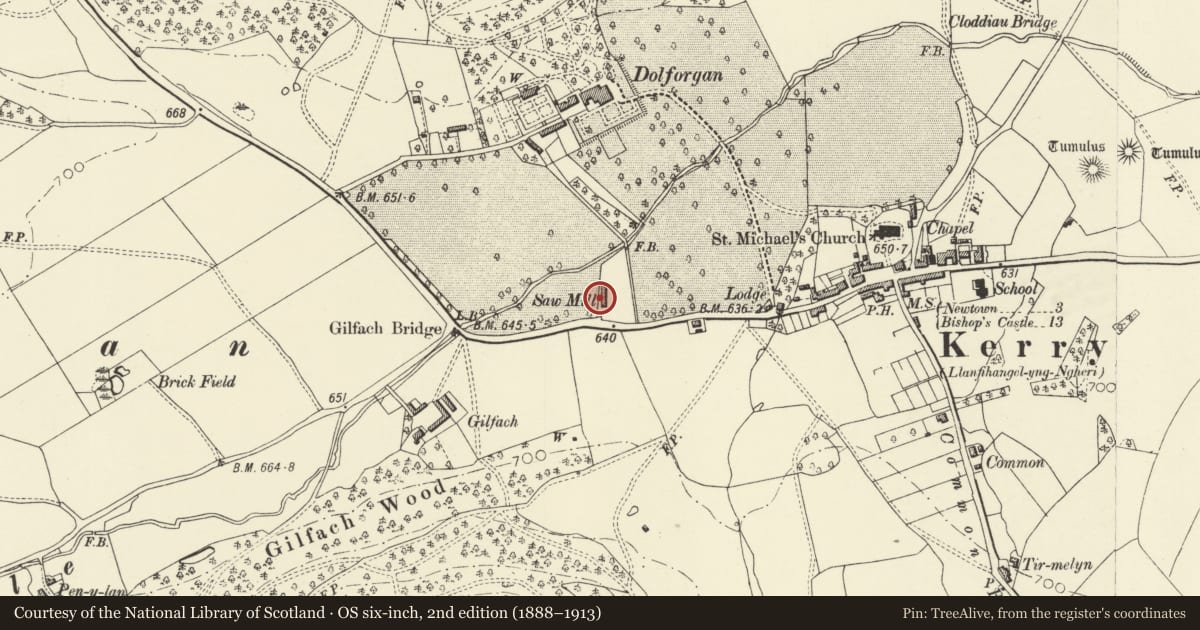 Ordnance Survey six-inch map, 2nd edition (1888–1913) covering the location of Dolforgan sawmill, Kerry, Powys, with a pin at the register's coordinates