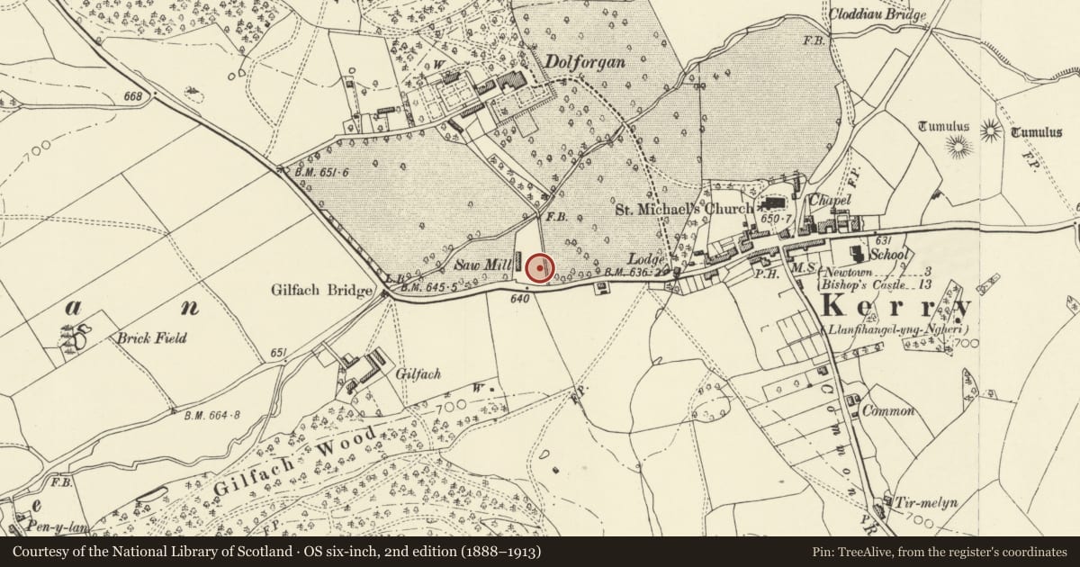 Ordnance Survey six-inch map, 2nd edition (1888–1913) covering the location of Arhosfa, Kerry, Powys, with a pin at the register's coordinates