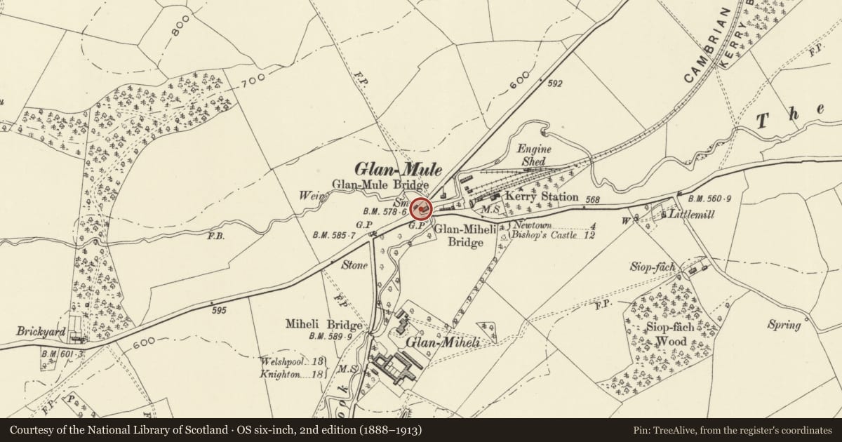 Ordnance Survey six-inch map, 2nd edition (1888–1913) covering the location of Smithy at the corner of the Abermiwl and Churchstoke roads, Kerry, Powys, with a pin at the register's coordinates