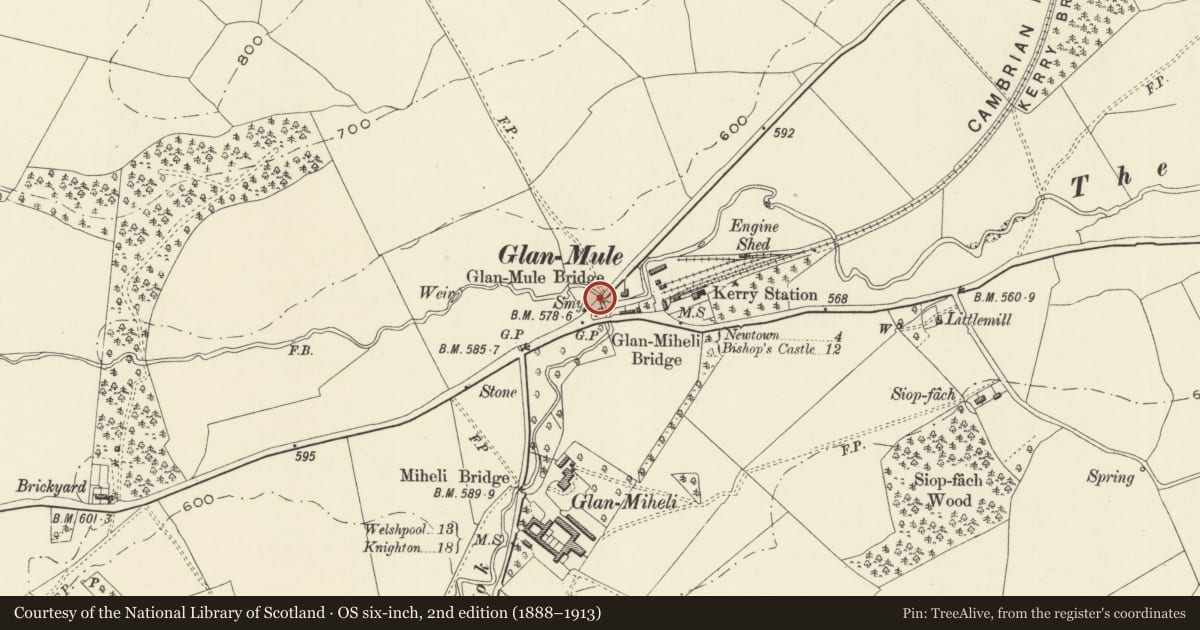 Ordnance Survey six-inch map, 2nd edition (1888–1913) covering the location of Glan-Mule bridge, Kerry, Powys, with a pin at the register's coordinates