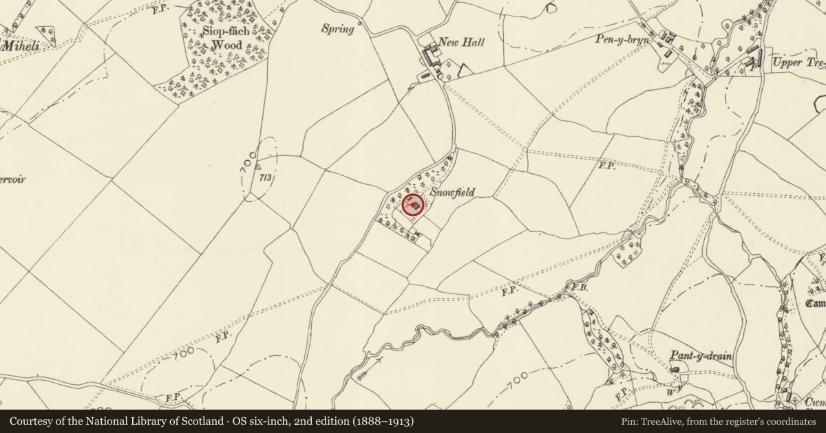 Ordnance Survey six-inch map, 2nd edition (1888–1913) covering the location of Snowfield, Kerry, Powys, with a pin at the register's coordinates