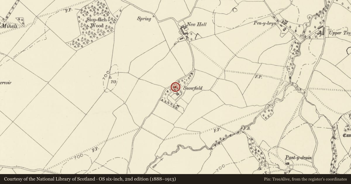 Ordnance Survey six-inch map, 2nd edition (1888–1913) covering the location of Outbuilding at Snowfield, Kerry, Powys, with a pin at the register's coordinates