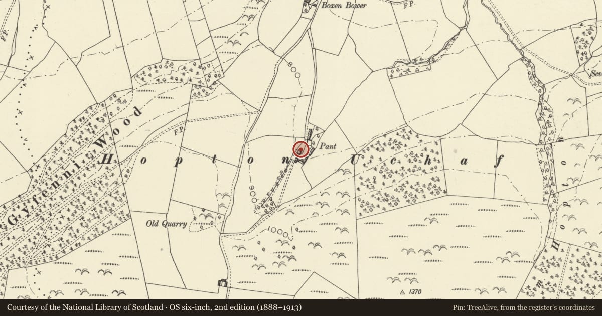 Ordnance Survey six-inch map, 2nd edition (1888–1913) covering the location of Pant, Kerry, Powys, with a pin at the register's coordinates