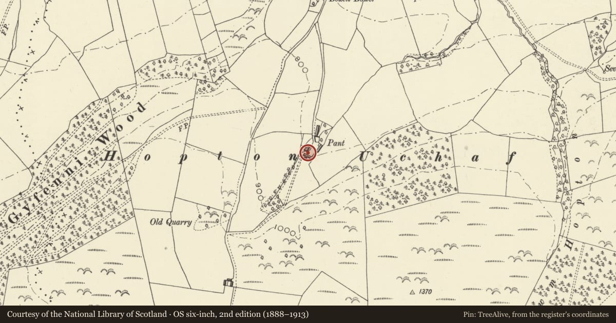 Ordnance Survey six-inch map, 2nd edition (1888–1913) covering the location of Barn at Pant, Kerry, Powys, with a pin at the register's coordinates