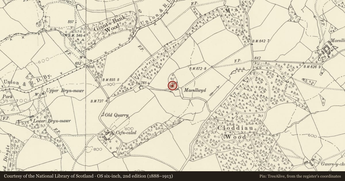 Ordnance Survey six-inch map, 2nd edition (1888–1913) covering the location of Cefn Maenllwyd, Kerry, Powys, with a pin at the register's coordinates