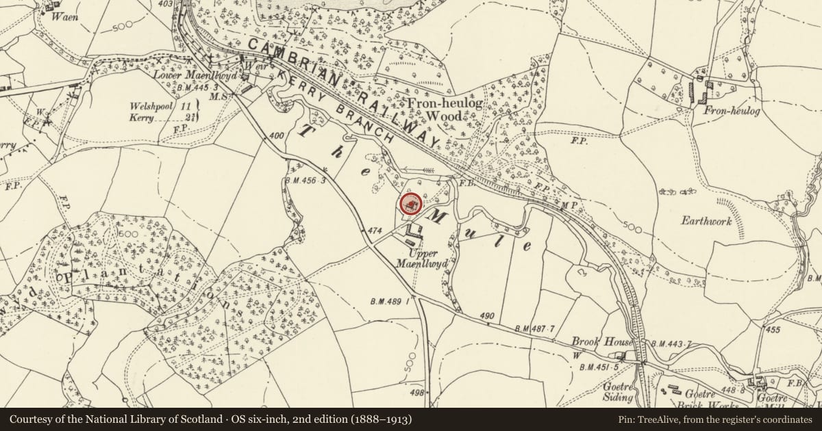 Ordnance Survey six-inch map, 2nd edition (1888–1913) covering the location of Upper Maenllwyd farmhouse, Kerry, Powys, with a pin at the register's coordinates
