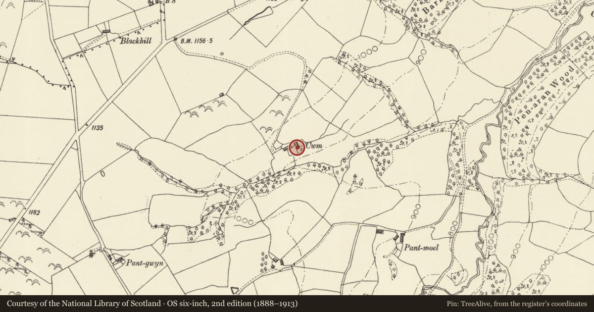Ordnance Survey six-inch map, 2nd edition (1888–1913) covering the location of Cwm-Weeg, Kerry, Powys, with a pin at the register's coordinates