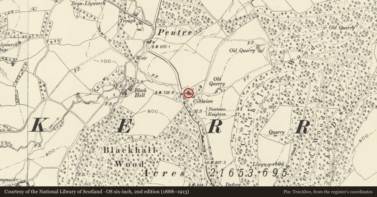 Ordnance Survey six-inch map, 2nd edition (1888–1913) covering the location of Cilthriew, Kerry, Powys, with a pin at the register's coordinates