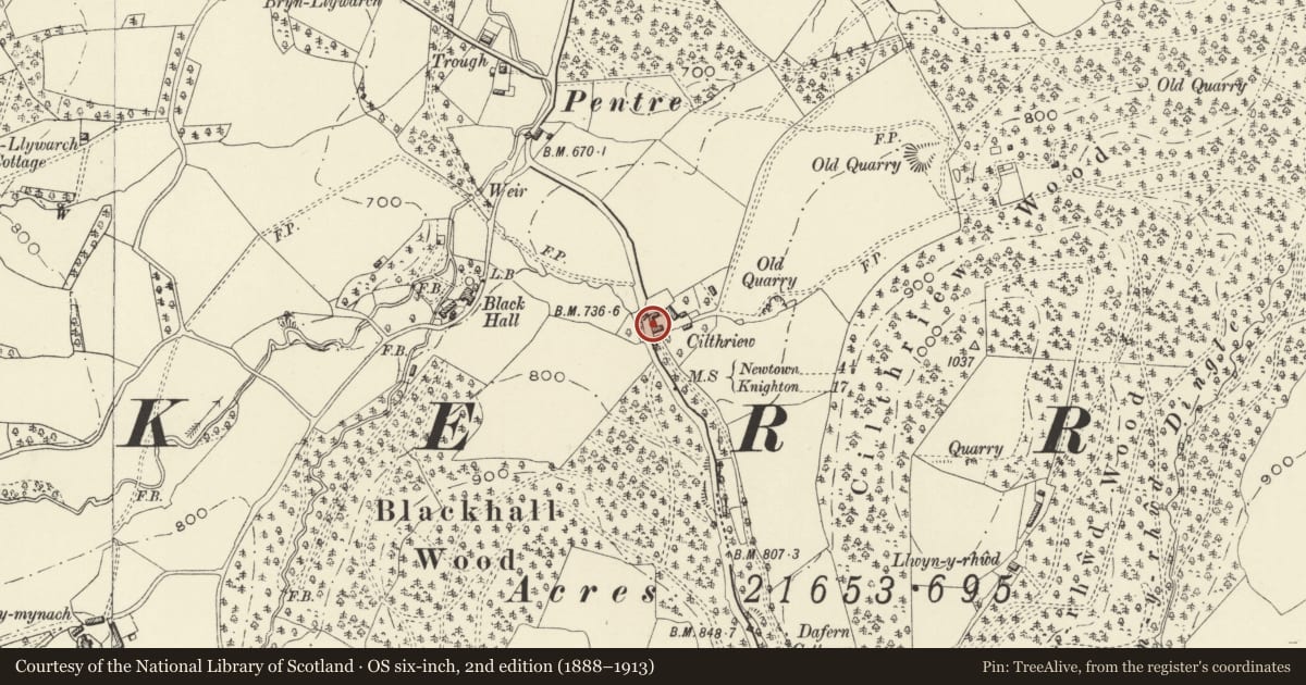 Ordnance Survey six-inch map, 2nd edition (1888–1913) covering the location of Farm building at Cilthriew Farm, Kerry, Powys, with a pin at the register's coordinates