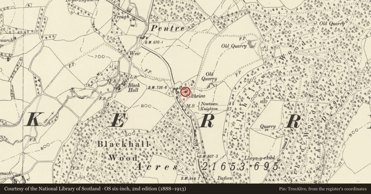 Ordnance Survey six-inch map, 2nd edition (1888–1913) covering the location of Outbuilding at Cilthriew, Kerry, Powys, with a pin at the register's coordinates