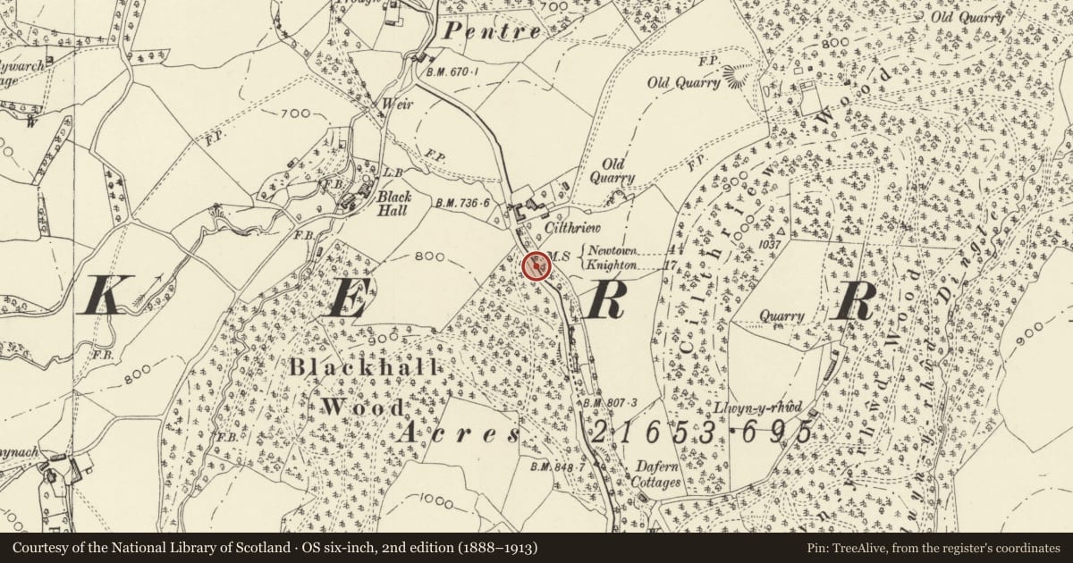 Ordnance Survey six-inch map, 2nd edition (1888–1913) covering the location of Mile marker at Cilthriew, Kerry, Powys, with a pin at the register's coordinates