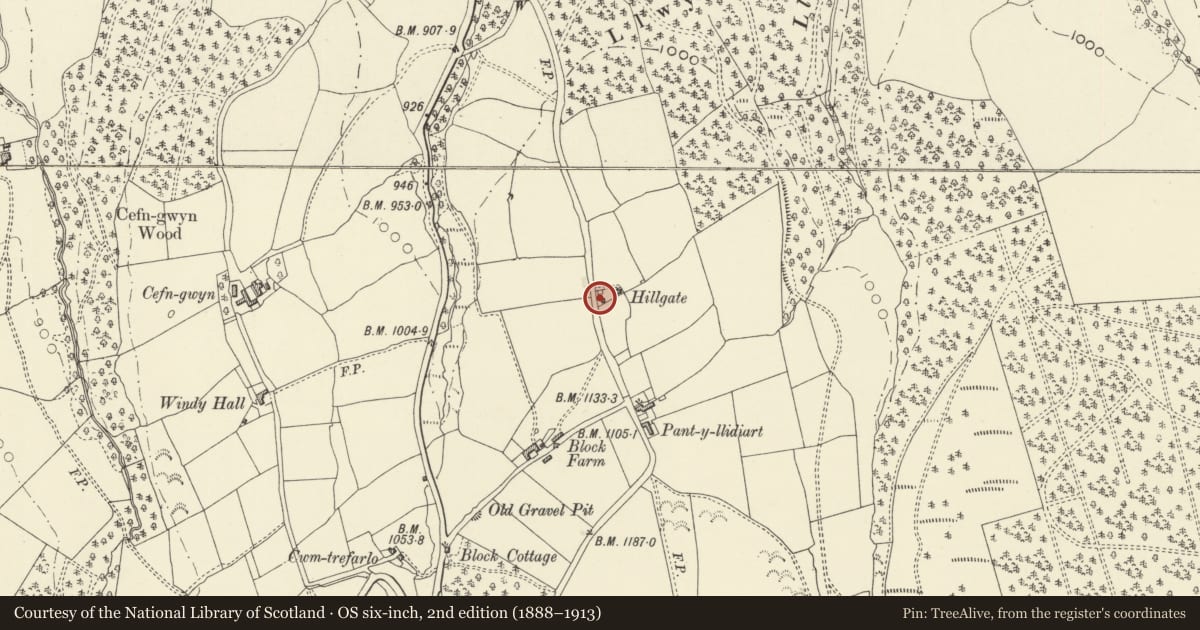 Ordnance Survey six-inch map, 2nd edition (1888–1913) covering the location of Icehouse at Hillgate, Kerry, Powys, with a pin at the register's coordinates