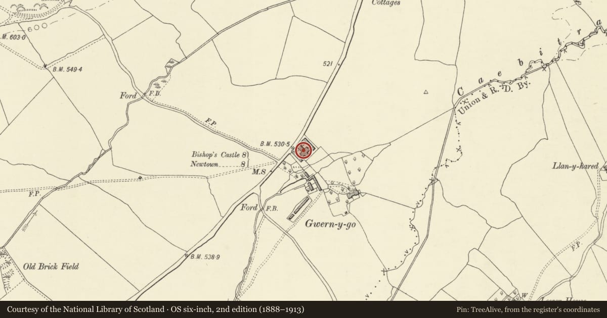 Ordnance Survey six-inch map, 2nd edition (1888–1913) covering the location of Farm buildings at Gwern-y-go, Kerry, Powys, with a pin at the register's coordinates