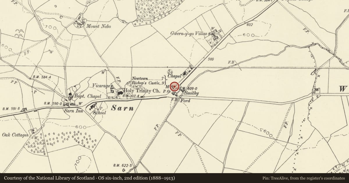 Ordnance Survey six-inch map, 2nd edition (1888–1913) covering the location of Mile marker, Kerry, Powys, with a pin at the register's coordinates
