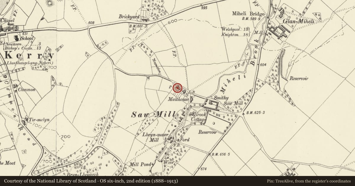 Ordnance Survey six-inch map, 2nd edition (1888–1913) covering the location of 2 Springfield including Glanmiheli with garden and yard walls, Kerry, Powys, with a pin at the register's coordinates
