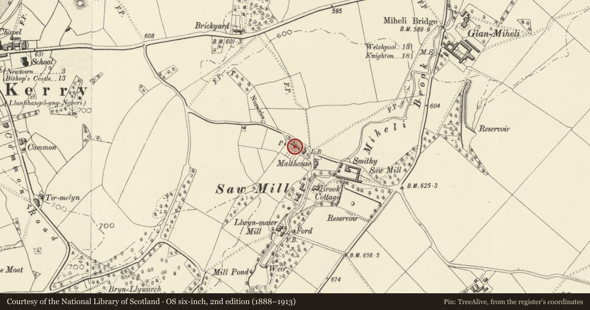 Ordnance Survey six-inch map, 2nd edition (1888–1913) covering the location of 3 Springfield including Glanmiheli with garden and yard walls, Kerry, Powys, with a pin at the register's coordinates
