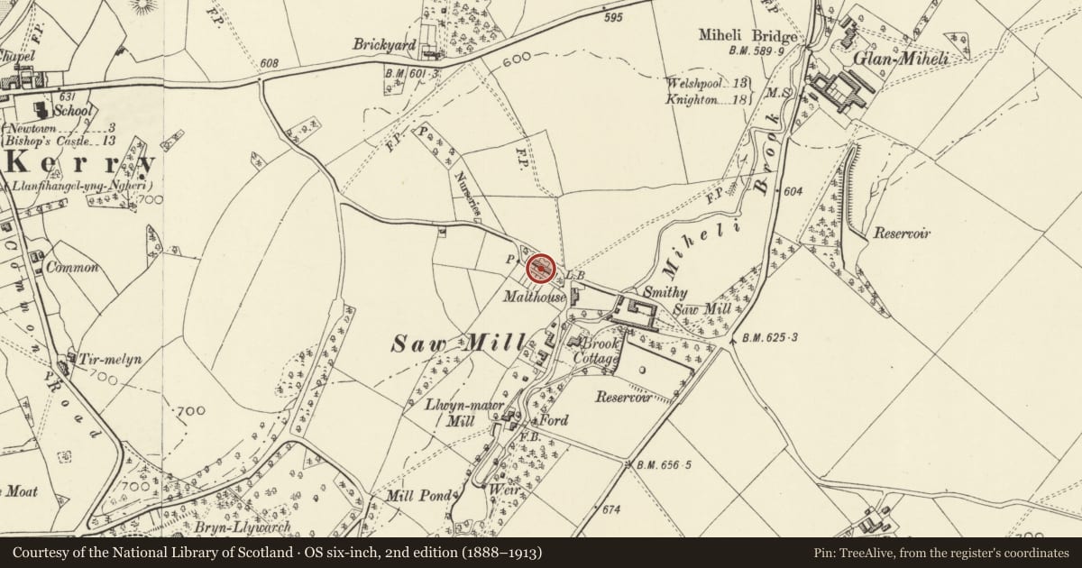 Ordnance Survey six-inch map, 2nd edition (1888–1913) covering the location of 4 Springfield including Glanmiheli with garden and yard walls, Kerry, Powys, with a pin at the register's coordinates