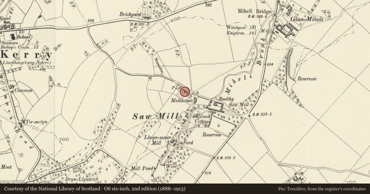 Ordnance Survey six-inch map, 2nd edition (1888–1913) covering the location of 5 Springfield including Glanmiheli with garden and yard walls, Kerry, Powys, with a pin at the register's coordinates