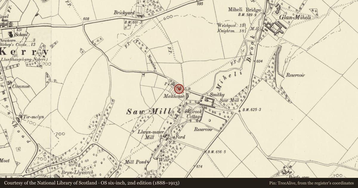 Ordnance Survey six-inch map, 2nd edition (1888–1913) covering the location of 6 Springfield including Glanmiheli with garden and yard walls, Kerry, Powys, with a pin at the register's coordinates